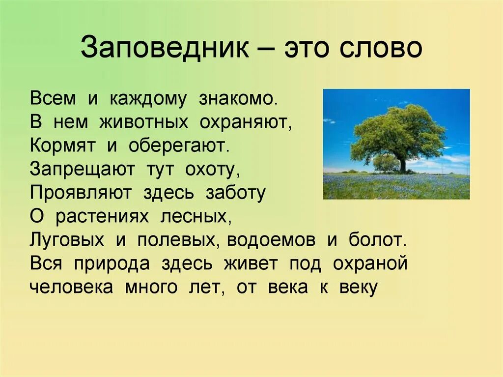 Заповедные места слова. Стих про заповедник. Заповедник. Загадка про заповедник для детей. Стихотворение про заповедник для детей.