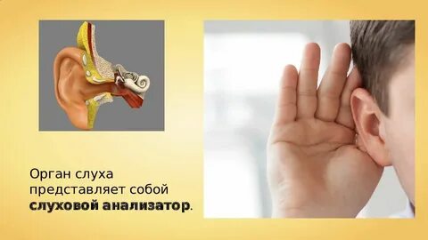 Нагрузка на слуховой анализатор