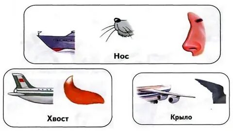 Что бывает первым