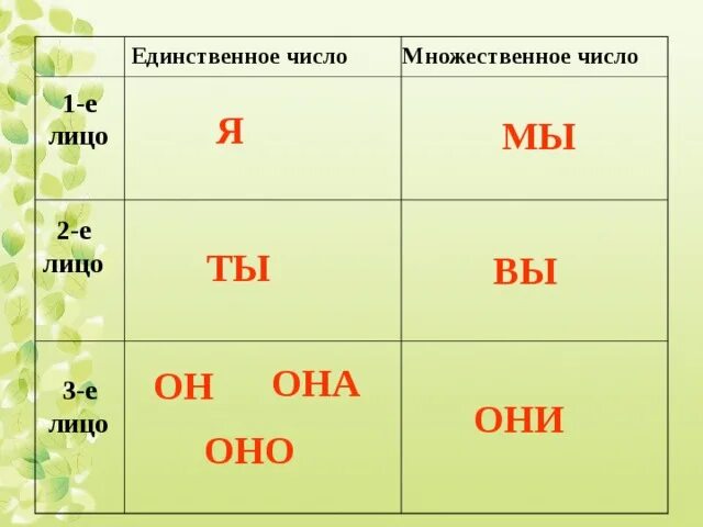 1 число единственное. 3-Е лицо множественное число. 1 Лицо множественное число. 2 Лицо множественное число. 3е лицо ед ч.