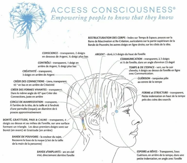 Manual access. 32 точки access bars. аксесс бары 32 точки. аксесс бар точки на голове. точки аксесс баров схема.