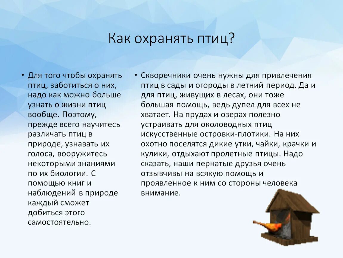 Как человек заботится о птицах. Как можно заботиться о птицах. Как человек заботиться о птицах рассказ. Рассказ как я забочусь о птицах. Как заботиться о птицах