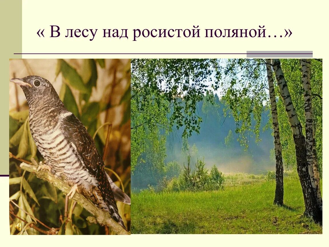 Сравнение в стихотворении в лесу над росистой. Маршак в лесу над росистой поляной. Маршак гроза днем в лесу над росистой. Стихотворение Маршака в лесу над росистой поляной.