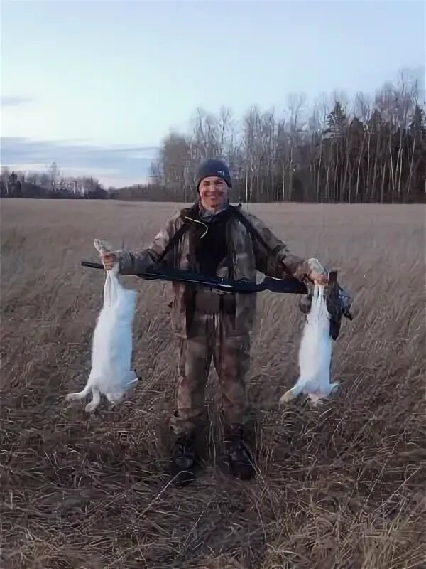 Kingdom come deliverance мрхоеды на карте. Kingdom come deliverance места охоты на кабана. охота на зайца kingdom. ян заяц kingdom come. охота на зайцев в якутии.