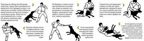 Отбился от нападавших