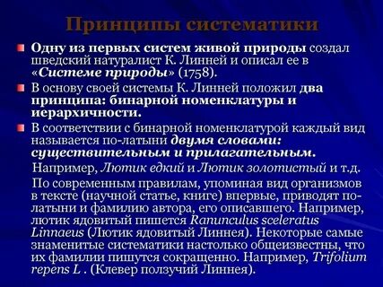 Как бы вы охарактеризовали принцип систематики