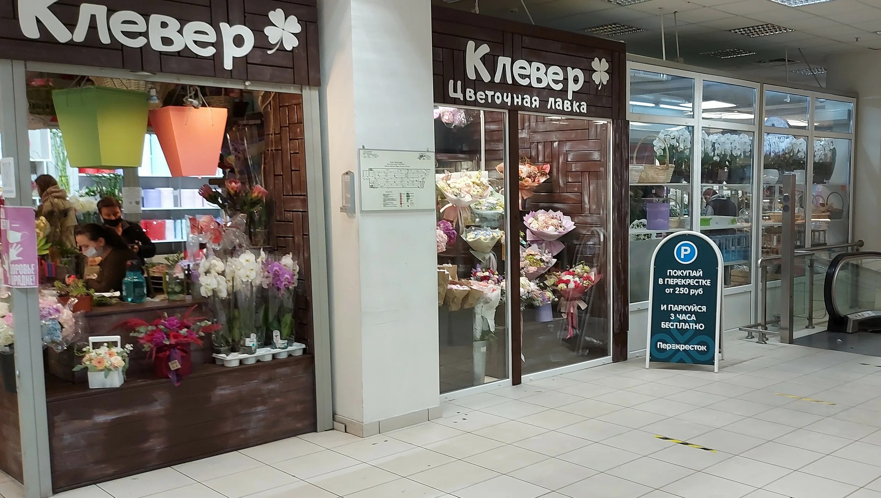 простоцветы в москве. простоцветы в москве. франчайзинг цветочного. простоцветы в москве. простоцветы в москве.