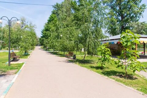 Колос саратовская область