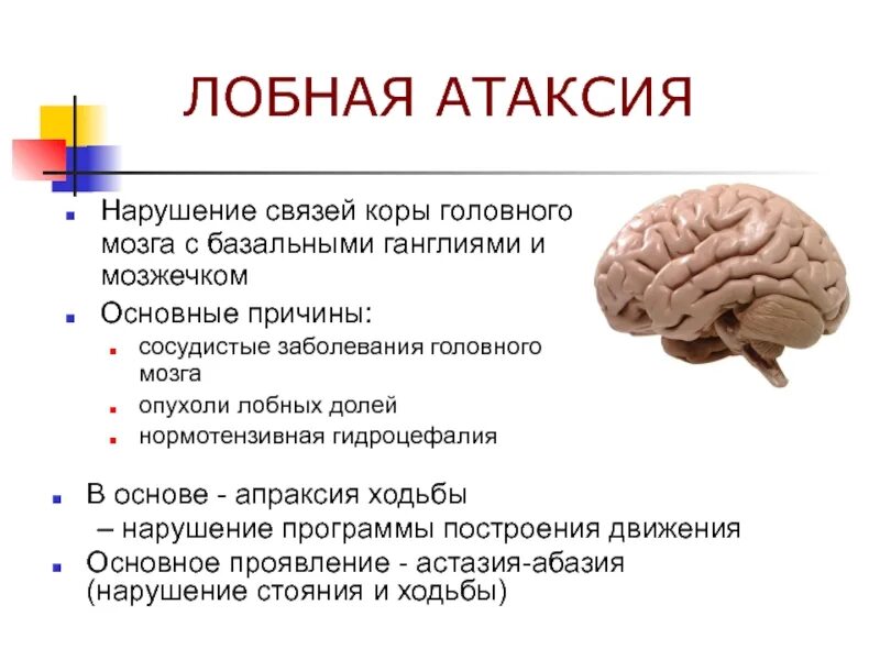 Корковая атаксия неврология. Лобная атаксия астазия абазия. Лобная и мозжечковая атаксия. Лобная деменция симптомы