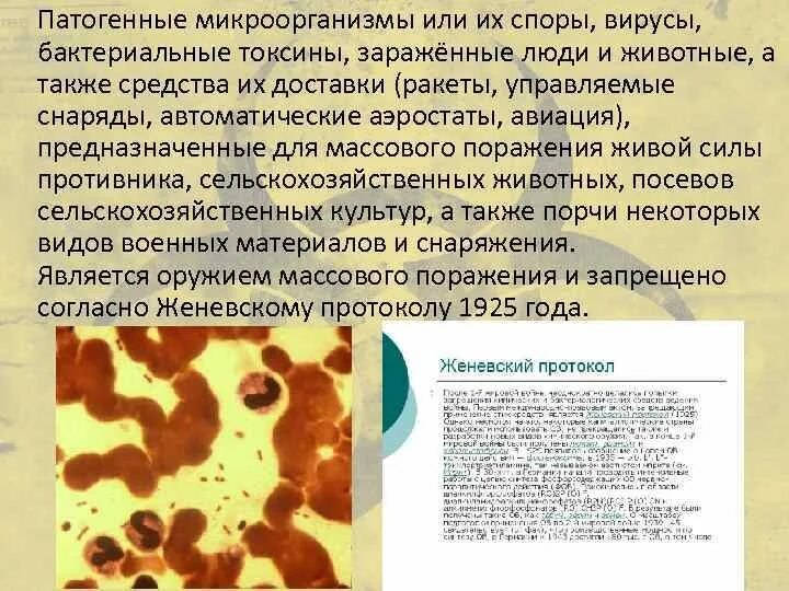 Работы с патогенными микроорганизмами. Патогенные микроорганизмы или их споры. Микроорганизмы или их споры, вирусы, бактериальные токсины. Патогенные микроорганизмы вирусы. Болезнетворные или патогенные микроорганизмы.