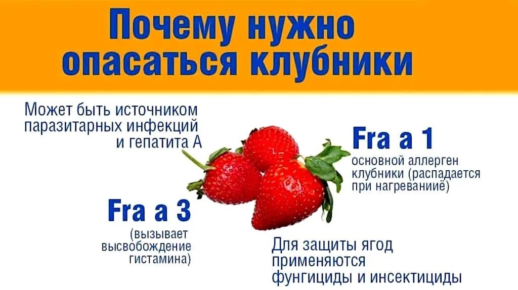 Клубника является аллергеном