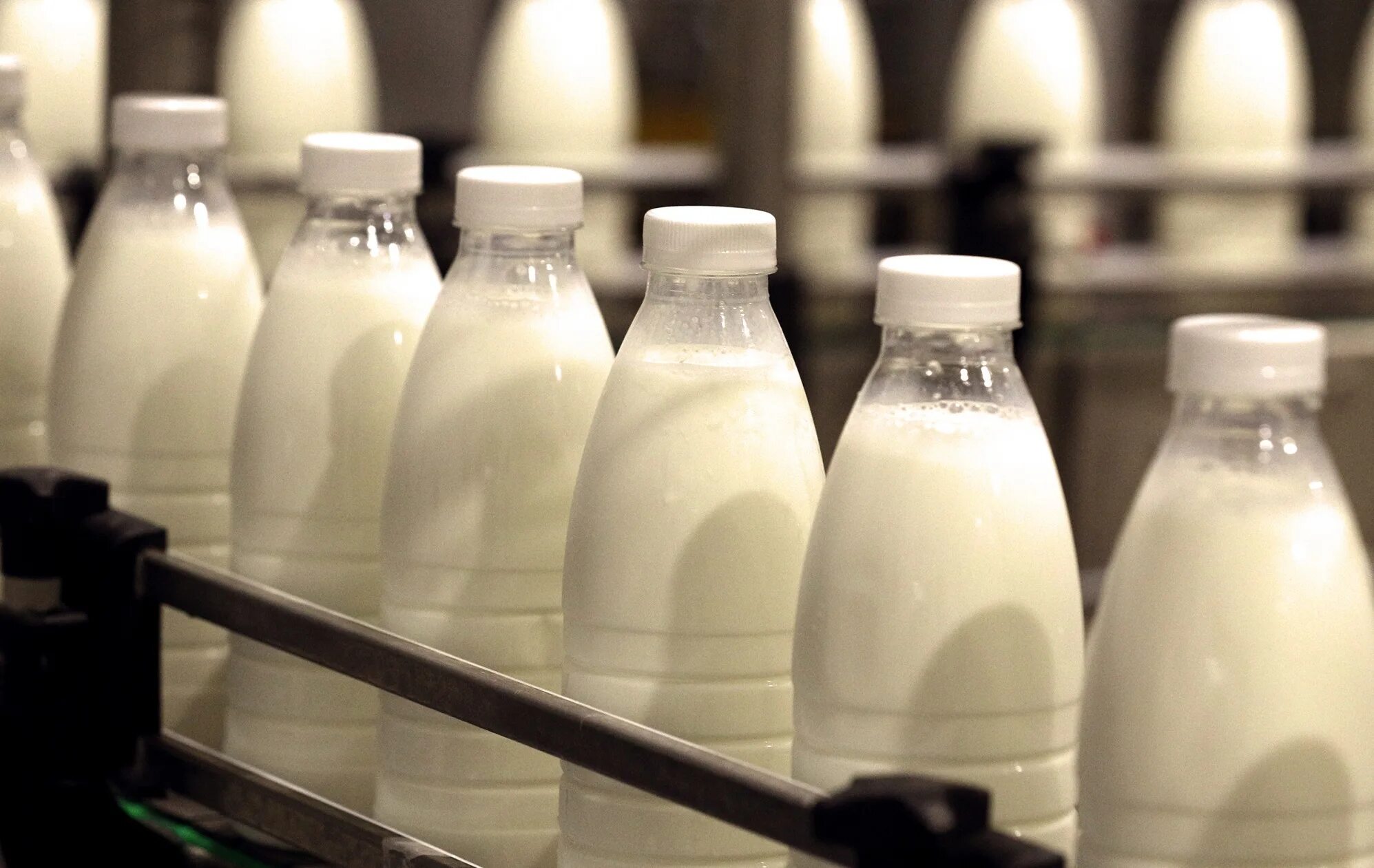 Ньюс молочный. Молочная промышленность. Производство молока. Производители молочных продуктов. Молоко производители.