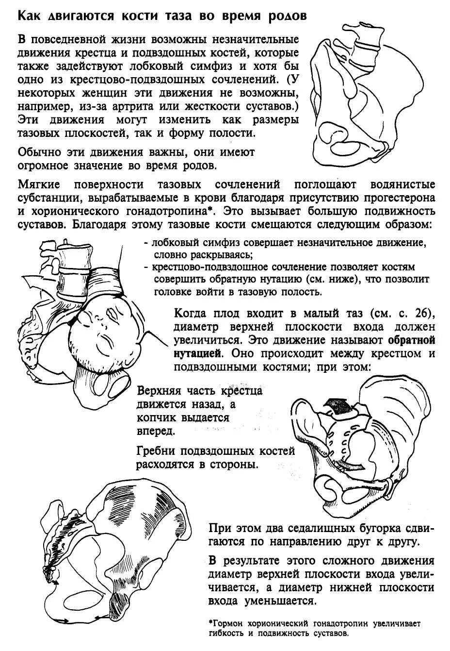 Расхождение костей таза. Тазовые кости расходятся. Расширение костей таза при беременности. Расширение таза при беременности