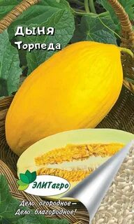 Дыня торпеда описание