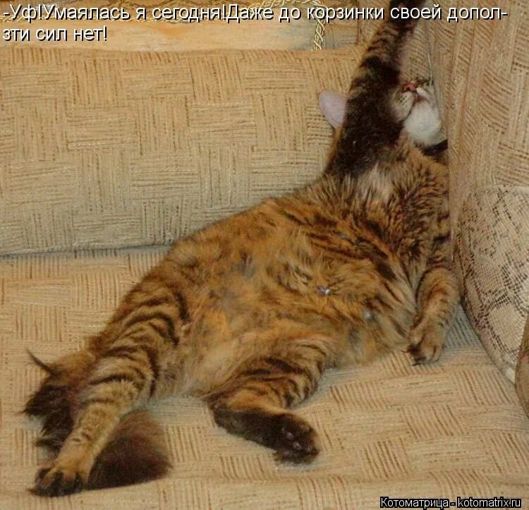 как жизнь людей фильтрует. самое хорошее и самое плохое. как и сегодня даже в самой. карикатуры на мужчин смешные. умаялась.