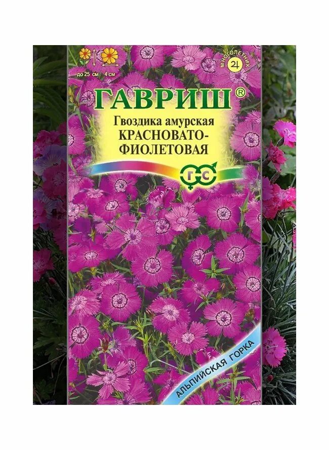 Семена гвоздики низкорослой. Гвоздика турецкая смесь. Семена гвоздики низкорослой. Семена гвоздики низкорослой. Гвоздика садовая лилипоn.