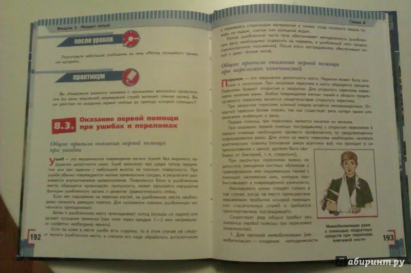 Учебник ОБЖ Смирнов Хренников. ОБЖ 8 класс. Основы безопасности жизнедеятельности 7 класс учебник Смирнов. Учебник ОБЖ 8 класс Смирнов Хренников.