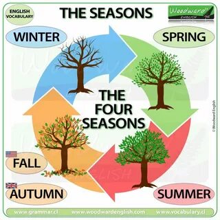 Winter spring перевод