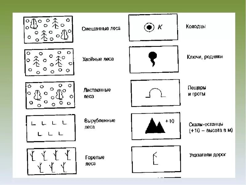 Подпиши что обозначают эти условные знаки. Смешанный лес обозначение на топографической карте. Обозначение газона на топографической карте. Топографические обозначения лес. Обозначение хвойного леса на топографической карте.