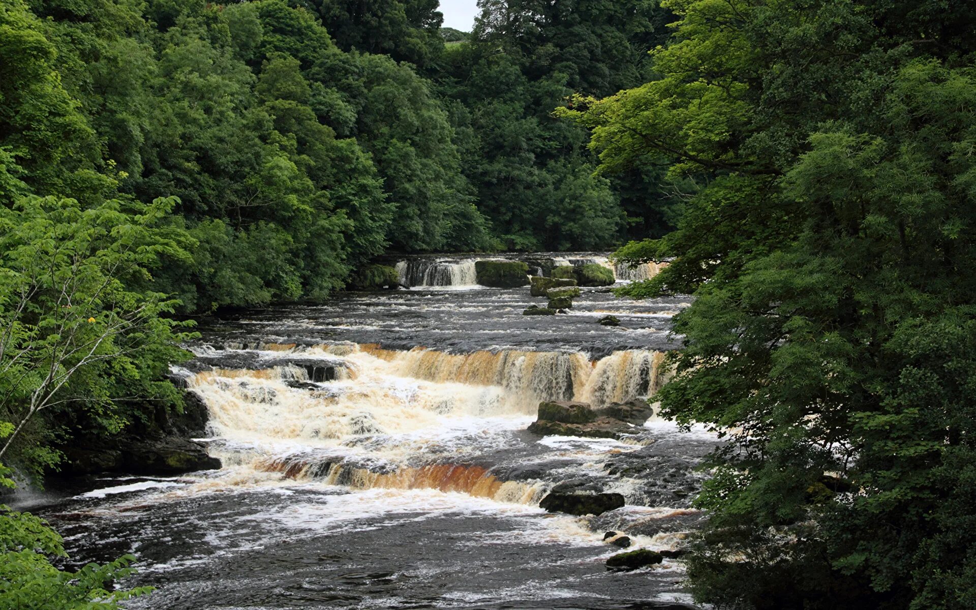 Falling to the river