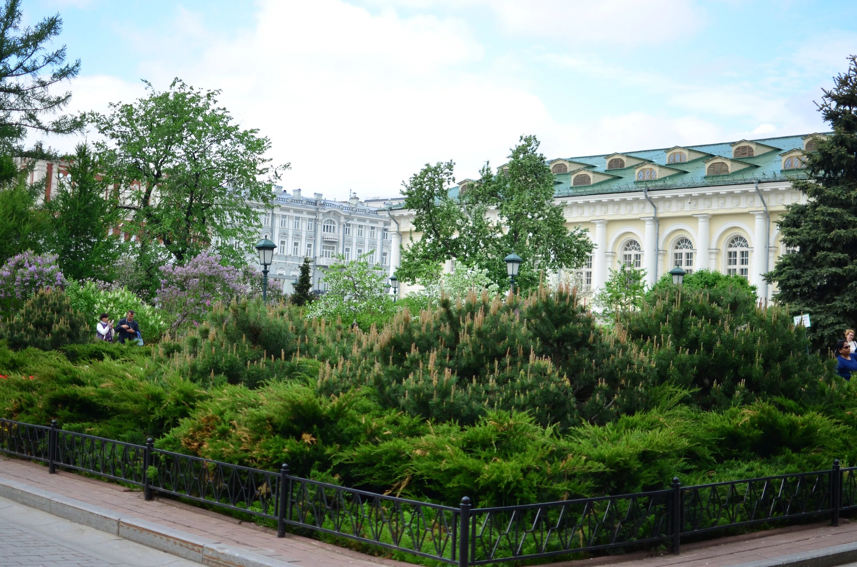 Сады московского кремля. Тайнинский сад Московского Кремля. Милютинский сад в Москве. Москва Милютинский сад Милютинский сад. Александровский сад Москва 19 век.