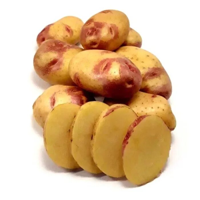 Купить семенной картофель - лучшие сорта на посадку из Голландии