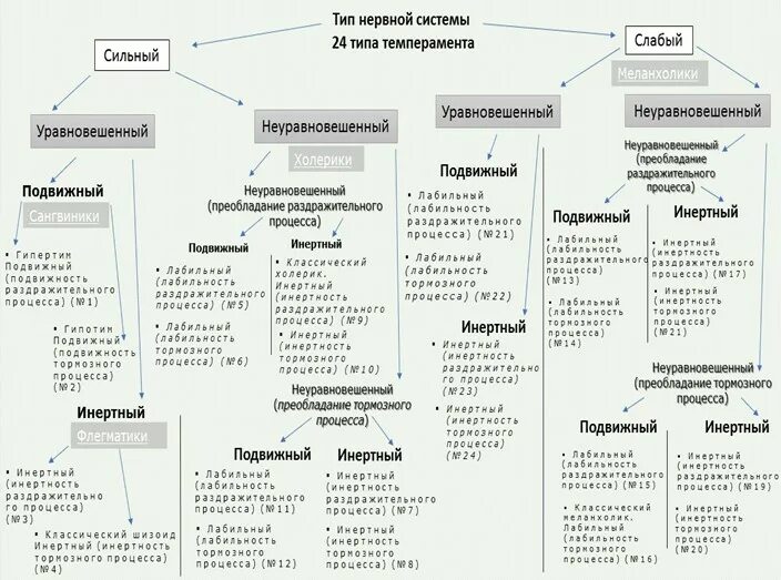 Типы темперамента по Павлову. Сильные неустойчивы Тип нервной деятельности. Сильные и слабые типы темперамента. Павлов теория темперамента. Типах темперамента и п павлова