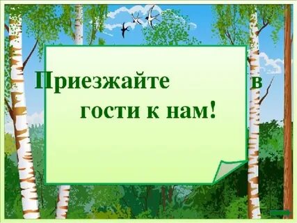 Приеду в гости екатеринбург