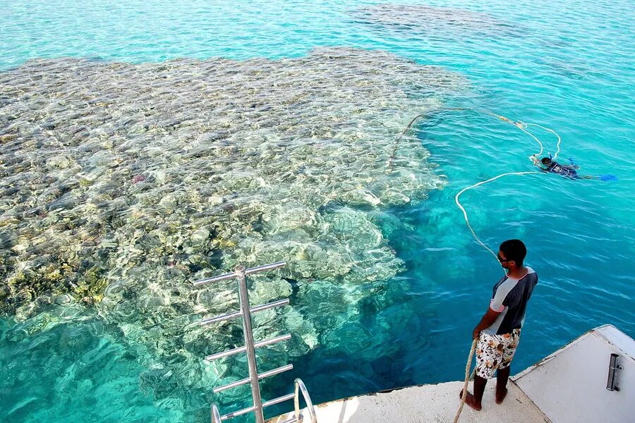 Coral island на русском. Остров Парадайз Хургада. Коралловый остров Хургада. Остров Парадайс в Египте. Райский остров Египет Хургада.