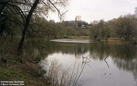 Берег реки орел