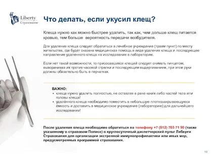 Укусил клещ к какому врачу идти