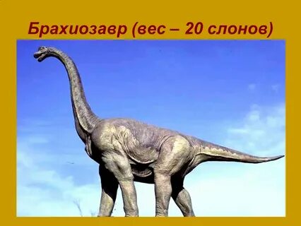 Название длинного динозавра