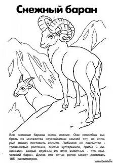 Трафарет красная книга
