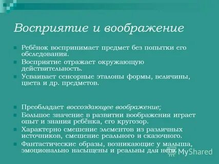 Восприятие отражает
