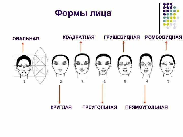 Формы лица. Типы формы лица. Круглая форма лица. Разновидности форм лица.