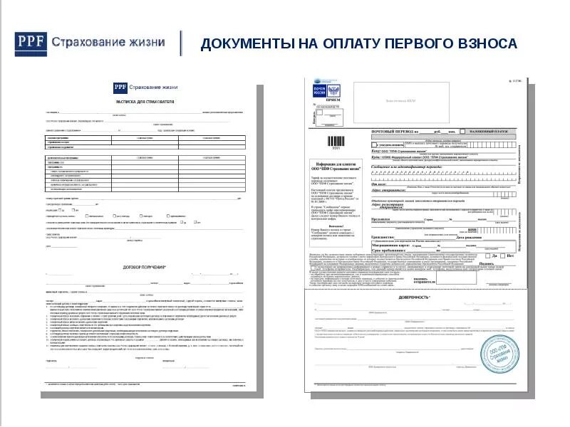 Примеры страхования жизни. Бланк страхования жизни. Договор страхования жизни пример. Страховка жизни ППФ.