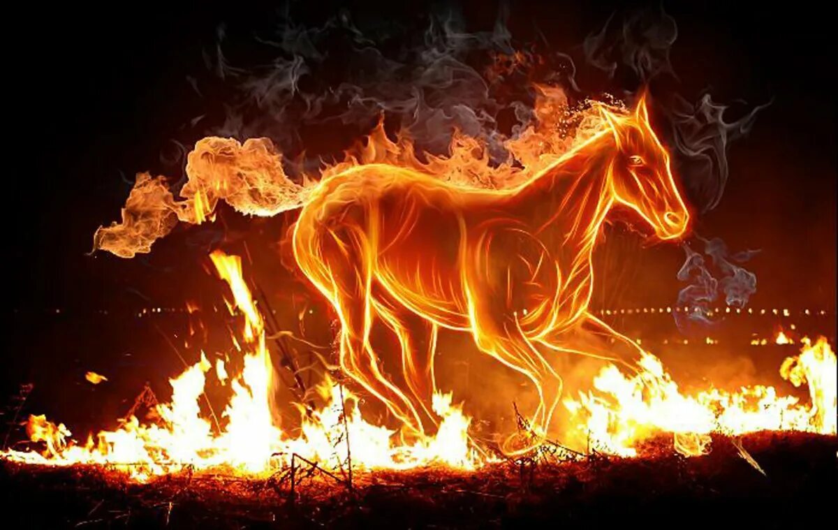 Огонь против воды. Праздник огня и животных в испании. Симуран крылатый волк огненный. День огня и животных. Славянские бог семергал.