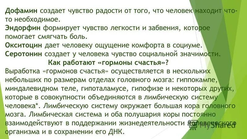 Что поднимает дофамин. Что поднимает дофамин