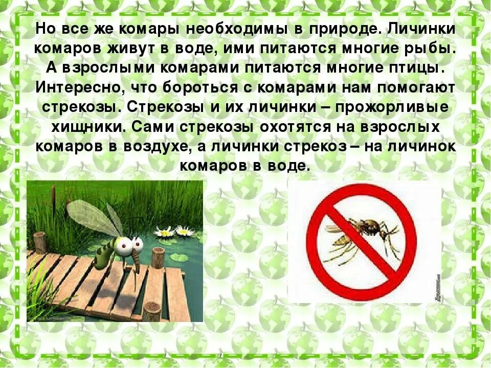 Кто питается комарами. Какие животные питаются комарами. Комар описание насекомого. Кто из насекомых ест комаров.