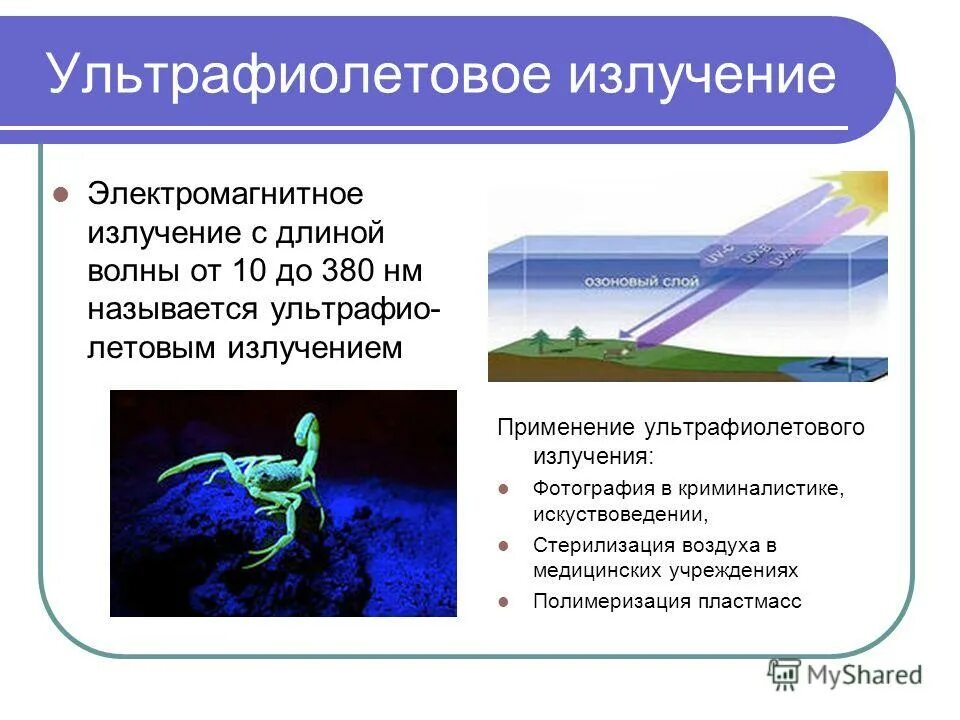 Какую роль для жизнедеятельности организмов играют ультрафиолетовые
