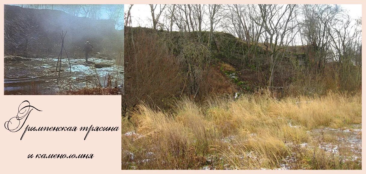 гримпенская трясина собака баскервилей. собака баскервилей трясина. собака баскервилей болота. гримпенская трясина собака баскервилей. собака баскервилей какие болота.