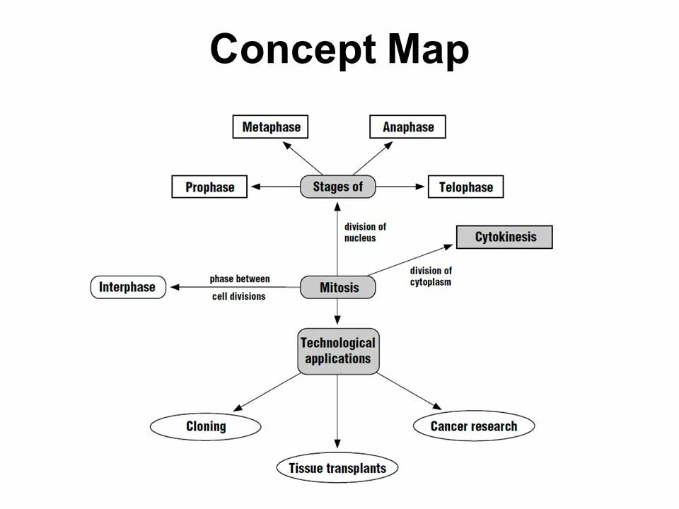 Concepts example