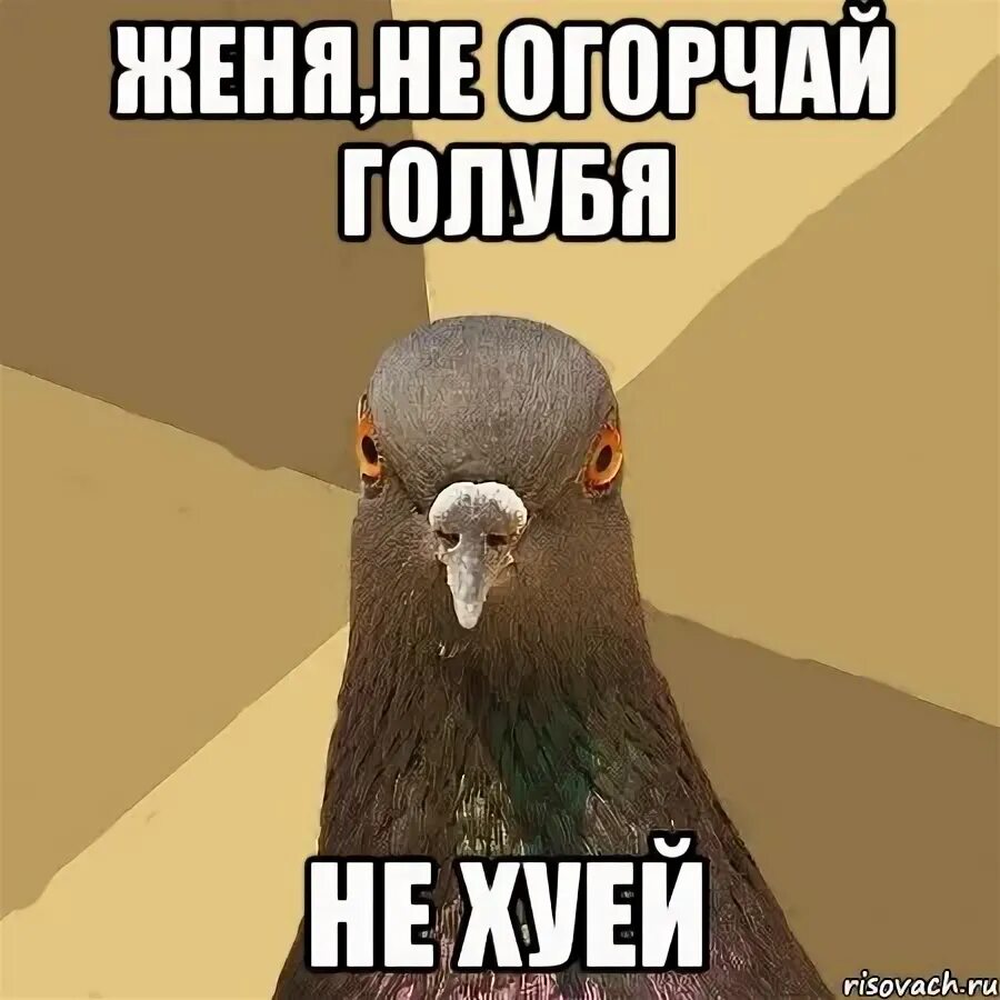 Блять женя вытащи. Блять женя вытащи. Блять женя вытащи. Охлобыстин мем. Женя пукнул.