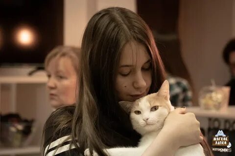 На мягких лапах между звезд