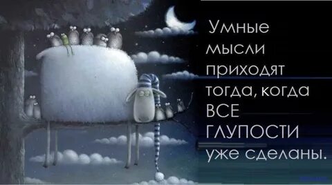 Мудрая глупость