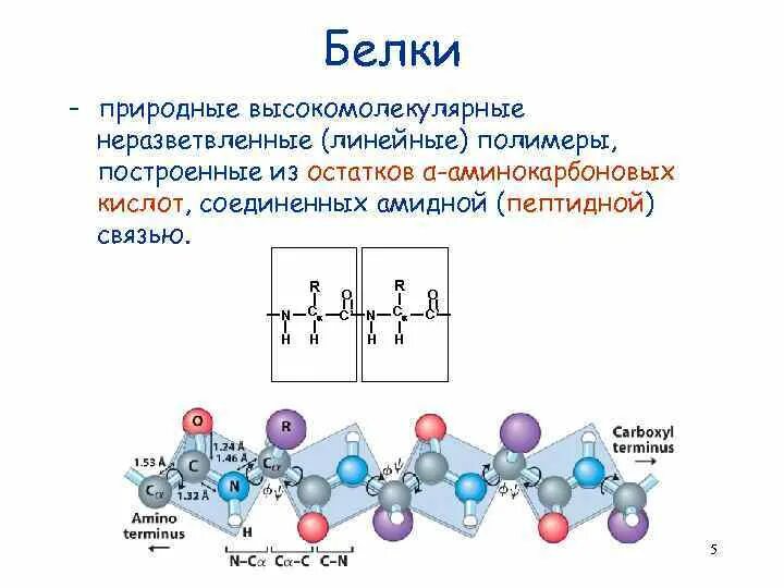 Мономеры белка называются. Белки строение мономера. Белки природные полимеры. Высокомолекулярные белки. Полимерное строение белков.