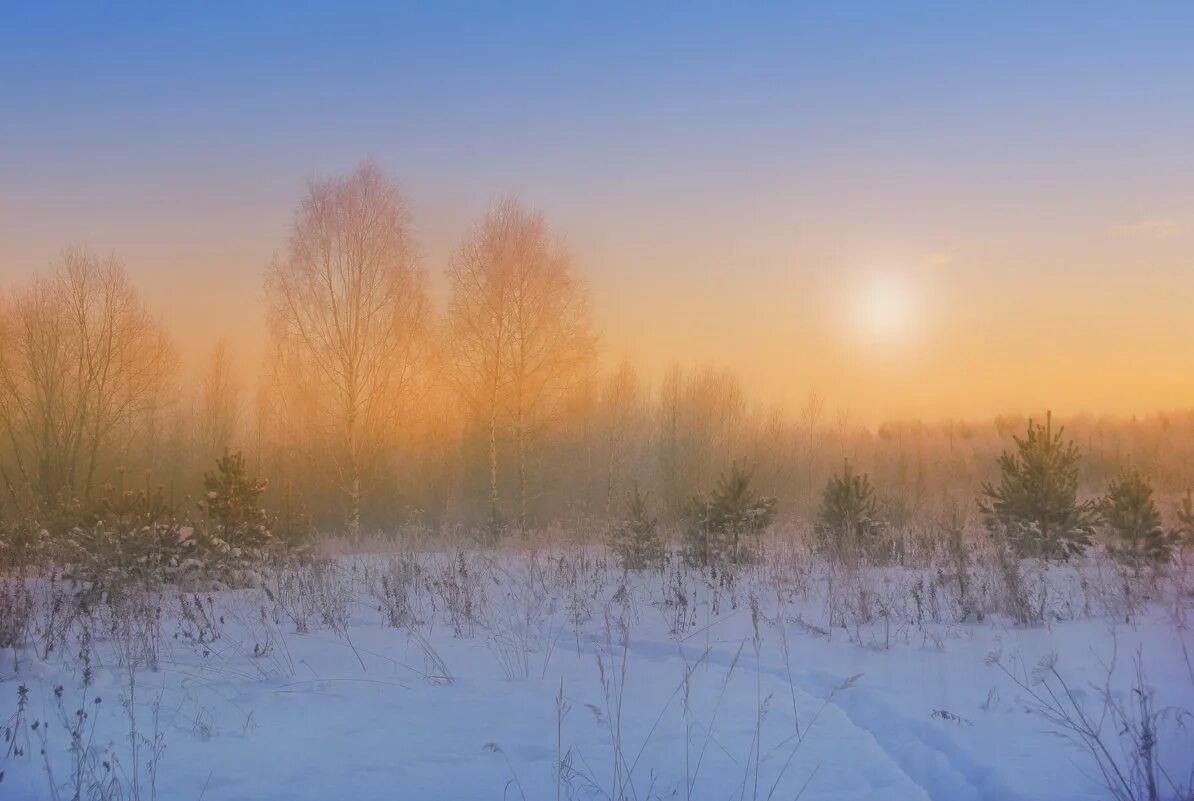 Утро туманно украшена снежинками книги собраны. Туманное зимнее утро. Утро туманное зимой. Раннее туманное зимнее утро. Раннее тёмное зимнее утро Россия.