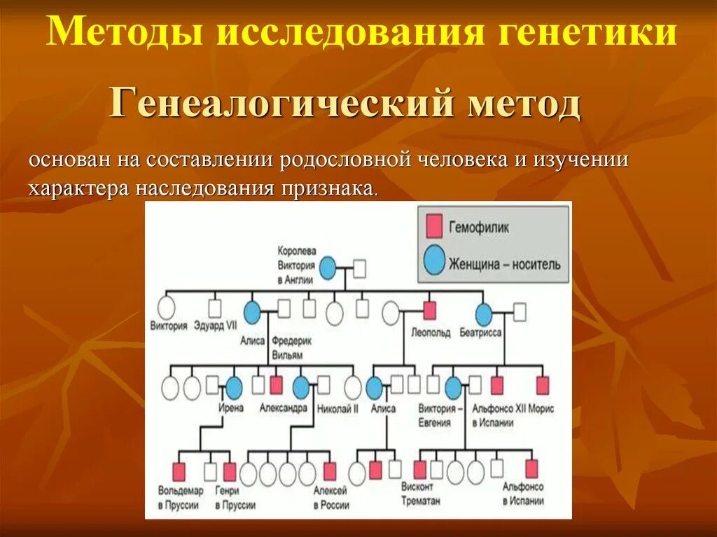 Генеалогический метод изучения генетики. Генеалогический метод изучения генетики человека таблица. Методы изучения генетики генеалогический метод. Генеалогический метод изучения генетики человека. Методы изучения генетики человека генеалогический