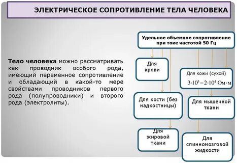 Величина электрического сопротивления тела человека