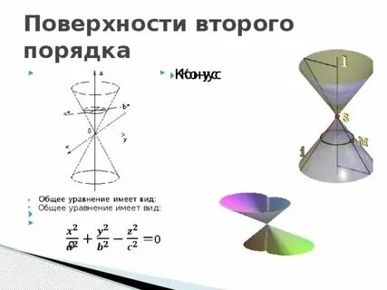 Общая поверхность это